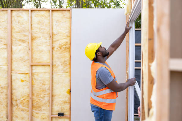 Best Insulation Contractor Near Me  in Dulce, NM